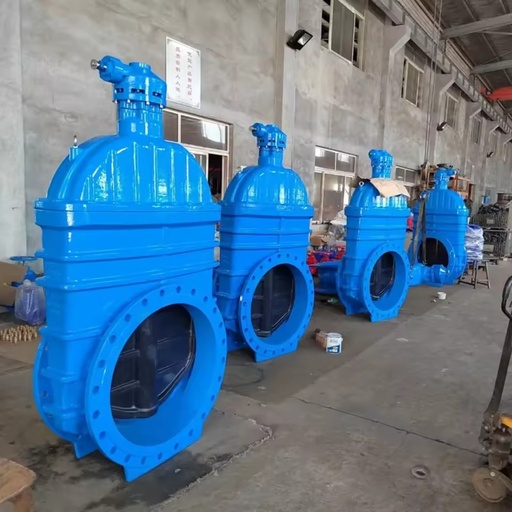 Large Size 12 Inch DN300 Hydraulic Water Handwheel Cast Iron Rising Stem BS EN Flange Sluice Gate Valve