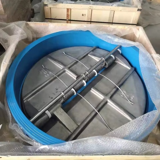Dual Check Valve Flap Single Double Disc Plate Non-return Wafer Butterfly Check Valve DN50-DN1200 Water