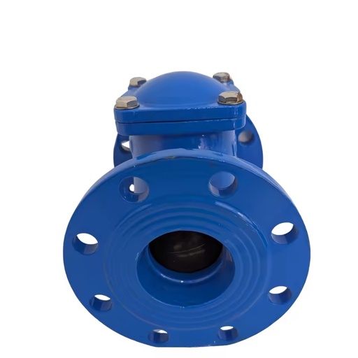 Horizontal or Vertical Pipes Can Be Used OEM/ODM Customizable Ductile Iron Pn10/Pn16 Dn50-Dn600 2'-24" Flange Ball Check Valve