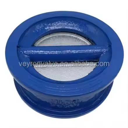 Dual Plate Non Returning Spring Check Valve Carbon Steel CI DI 2 Inch Low/Middle Pressure EPDM/PTFE Seal for Water Intake