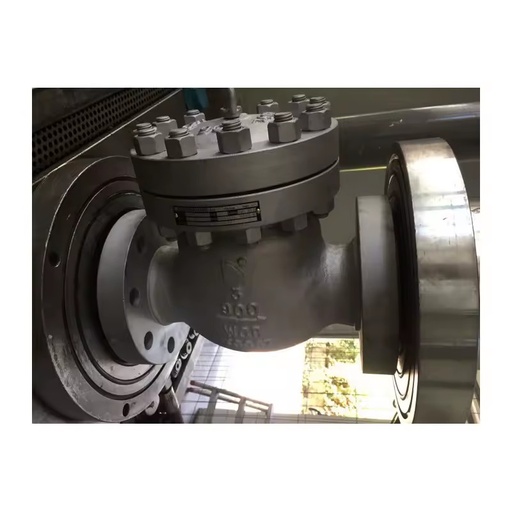 Forged Check Valve size 2'' SW ends stainless steel to allow forward flow and prevent reverse flow for industrial use