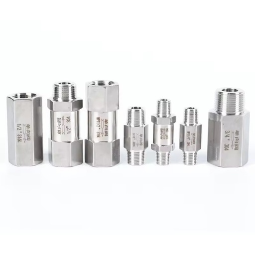 Stainless Steel Double Female Thread Check Valve Male Female Thread One Way Non Return Valve for Water Pipeline Normal