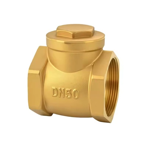 DN15-DN100 Brass Horizontal Check Valve Non-Return Swing Valve for Backflow Prevention in Water Supply Plumbing Repair