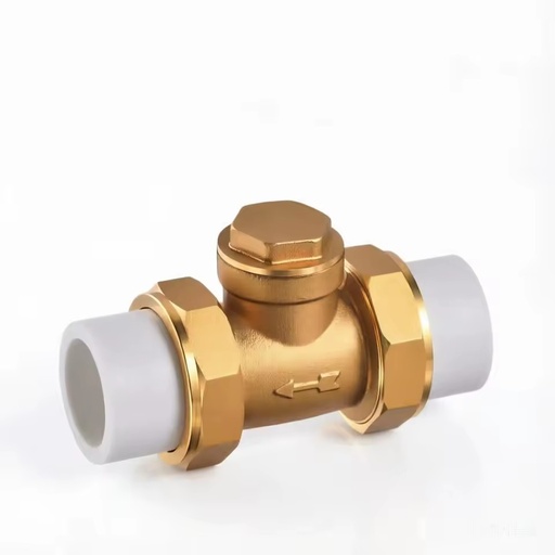Heavy Duty Ppr Brass Check Valve Hpb57-3 Non-Return Valve For Hot Cold Water Supply Hot Melt Heat Fusion Connection Fitting
