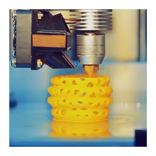 Customized Services Chinese Supplier Stainless Steel 3D Printing Services with Rapid Prototyping and SLS FDM Technology