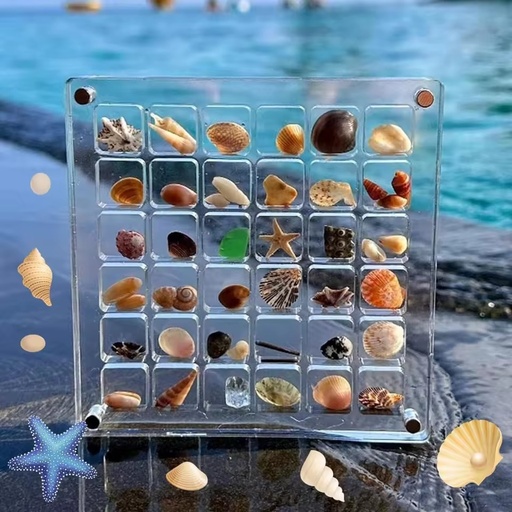 Factory Direct Custom 36 Grids clear Mini Magnetic Acrylic Modern Silk-Screen Printed Custom Logo Seashell Container Made