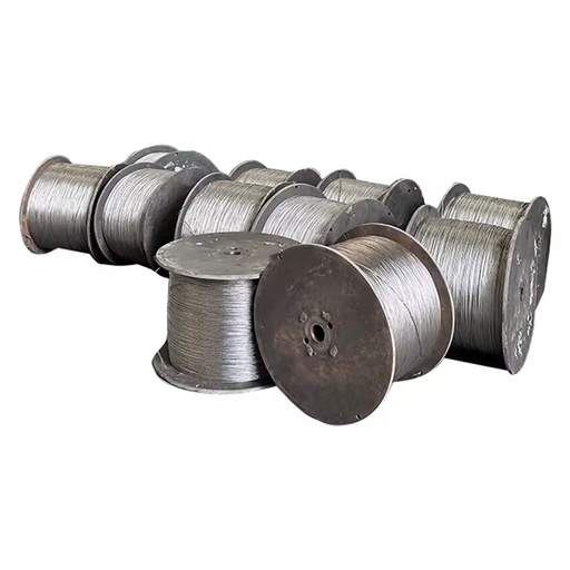 ASTM 201 304 316 316L 410 0.6mm 0.8mm 2mm Diameter Cold Rolled Stainless Steel Wire for Construction Building