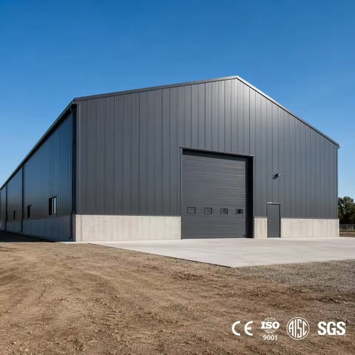 Industrial-Strength Master-Built High Performance Prefab Steel Structure Industrial Building Plant for Processing