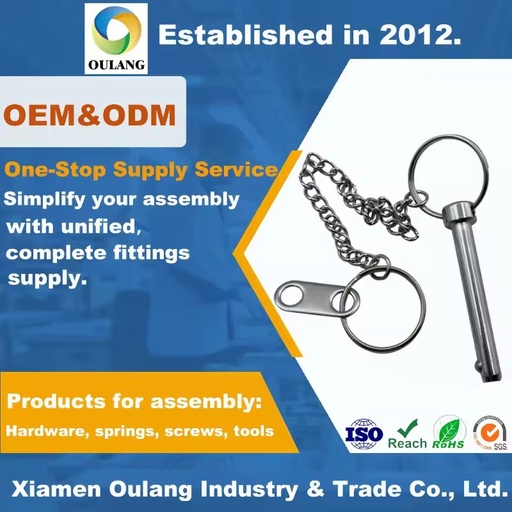 Manufacturer Stainless Steel Detent Pin Lanyard Safety Lock Spring Gym Hardware Plain Finishing Compression Extension Load
