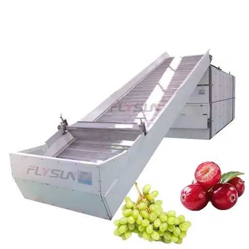 Mesh Belt blower Blower Dryer Fruit Drying Equipment for Continuous High-Capacity Drying of Grapes and Cranberries