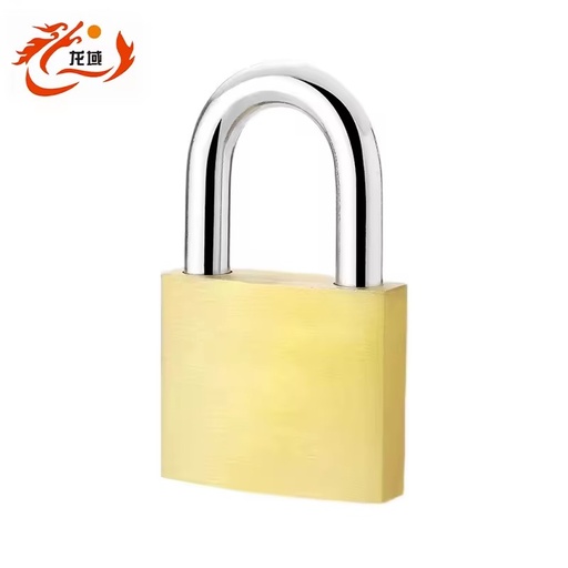 Dragon Domain Premium Security Custom 30mm, 50mm, 70mm Steel Shackle Brass Padlock