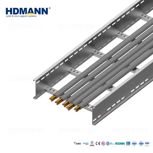 SS316 Stainless Steel Cable Ladder Corrosion Resistant Ladder Type Cable Tray for Offshore Oil and Gas Platforms