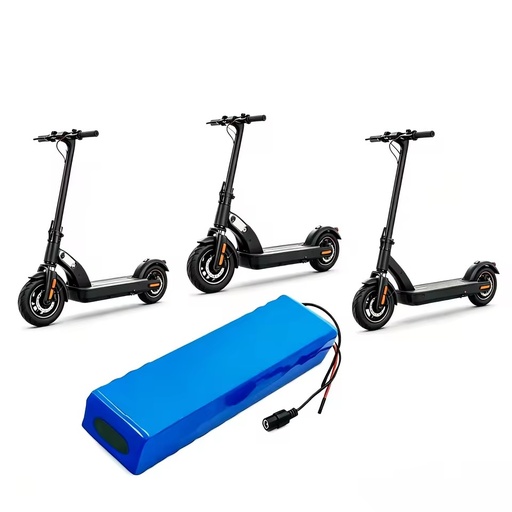 Large Capacity Power Lithium Battery Built-in BMS LiNiMnCoO2 Cathode 3000 Cycles for Electric Scooters Self Balancing Vehicles