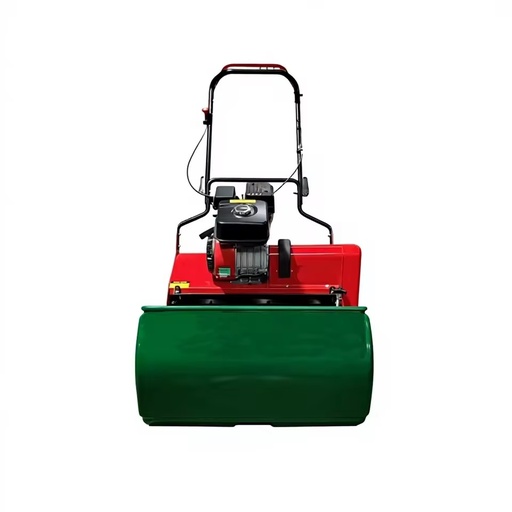 DIY Golf Course Hand Push Lawn Mower Small Gasoline Powered Model D500/600 Football Field Lawn Mower