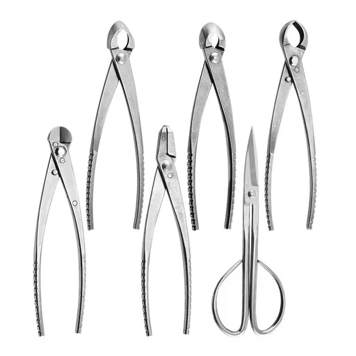 High Quality Stainless Steel DIY Bonsai Tools Garden Branch Shear Pruning Shears with Bypass and Long Length
