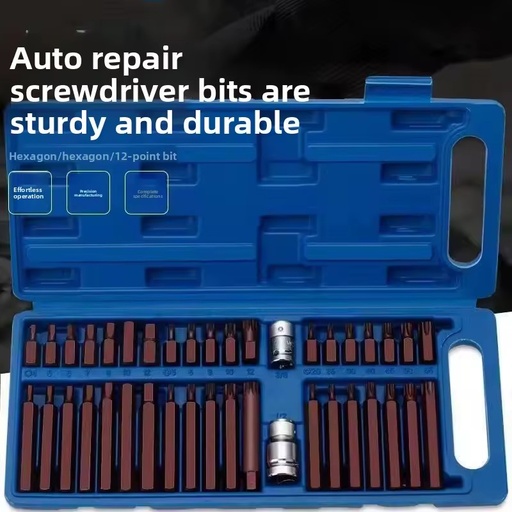 40-piece Full Set Hex Key Wrench Set Twelve-point Star Bits Chromium-vanadium Alloy Steel Plastic Box Storage for Tool