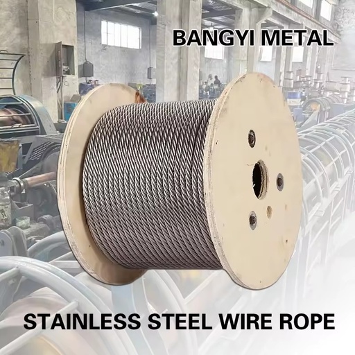 7x7 7x19 304 316 Stainless Steel Wire Strand Rope Cable Ss Wire Rope 3mm 4mm 5mm 6mm SUS304 Steel Cable
