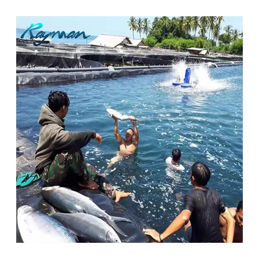 0.5mm 0.75mm HDPE Geomembrane1.0mm 1.5mm LDPE HDPE Pond Liners Price for Aquaculture Dam HDPE Geomembrane