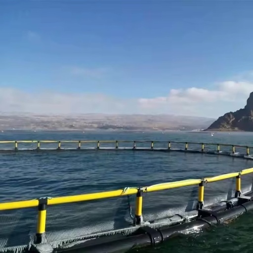 40 Meters Round Hdpe Floating Aquaculture Traps for Agriculture Fish Farming