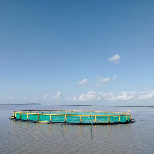 Outdoor Indoor Fish Farm Cage Catfish Grouper Mullet