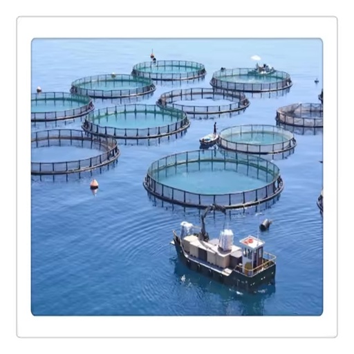 40 Meters Round Hdpe Floating Aquaculture Traps for Agriculture Fish Farming