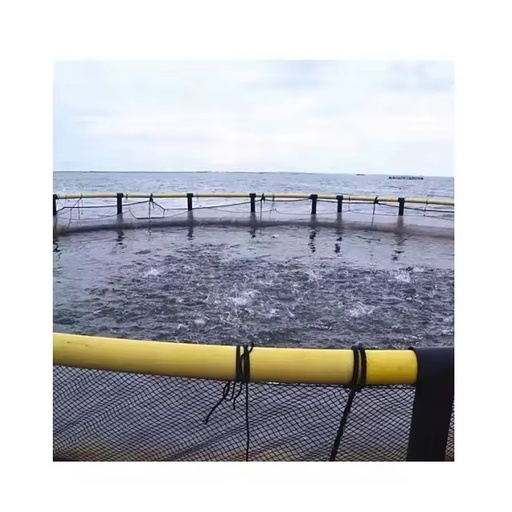 Hapa Cage Fish Farming Aquaculture Traps Floating Cage for Tilapia and Bass
