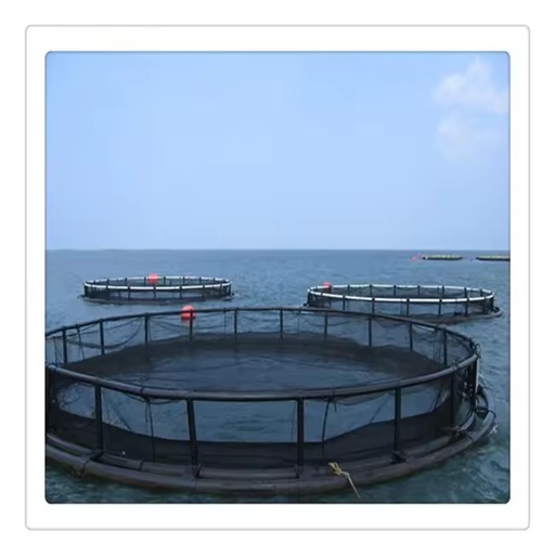 HDPE Fish Farming Net Aquaculture Cage Floating Equipment for Tilapia