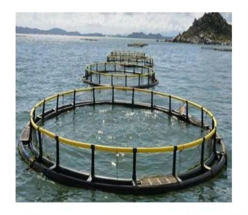 Tilapia Aquaculture Trap Floating Plastic HDPE Square Rectangle Fish Framing Cages in Pond Lake River Fresh Water