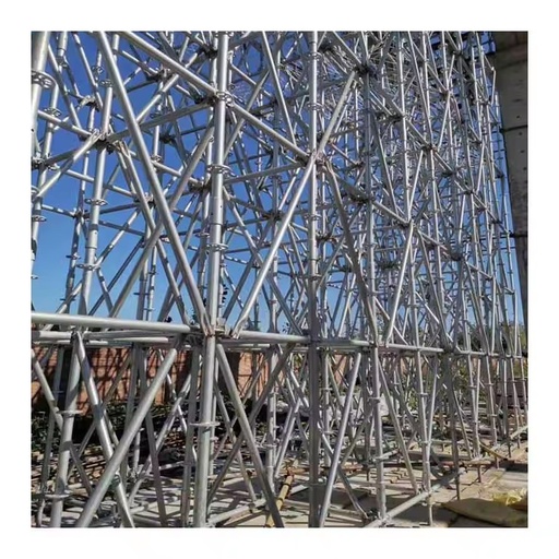 Professional Ring Lock Scaffolding Modern High Strength Steel Construction Scaffold with Easy Assembly