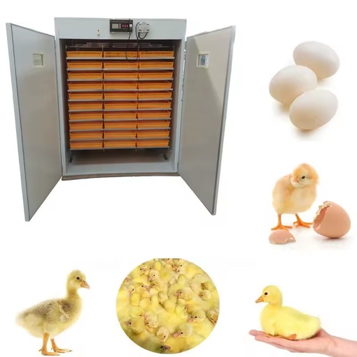 6000 Eggs Solar Power Incubator Automatic Solar Egg Incubator for Sale