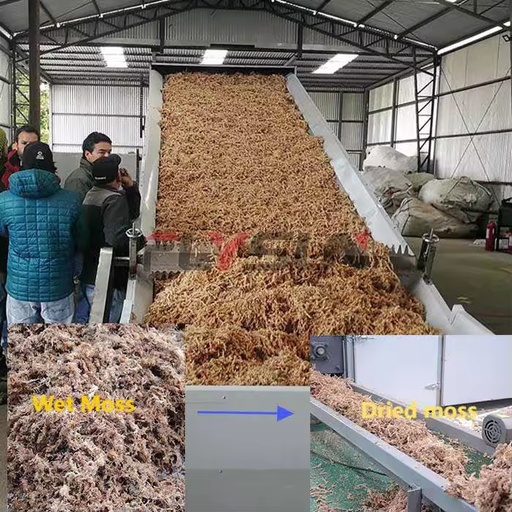 Multilayer Stainless Steel Continuous Mesh Belt Dryer Electric Heating Pump Food Processing High Efficiency Energy Saving