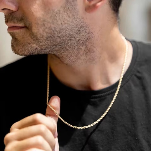 18K Real Gold Plating Rope Chian 3mm Fashion Jewelry Gifts Women Men 316L Stainless Steel Tarnish Free Twisted Link Necklace