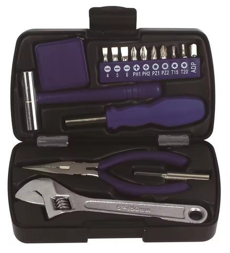 17pcs Promotional Mini Hand Household Repair Gift with Plastic Box Tool Kit Tools Set