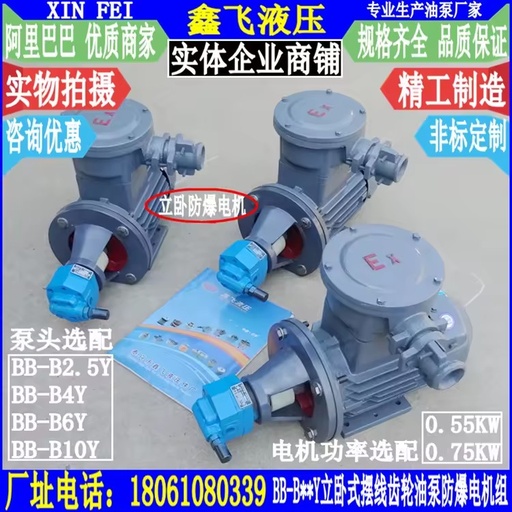 LWBZ-BB-B2.5Y B4Y B6Y B10Y Vertical and Horizontal Explosion-proof Cycloidal Gear Oilfield Pumping Unit with Motor Set