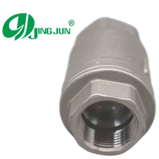 Vertical Stainless Steel Female Threaded Check Valve PN16 High Pressure Casting Plumbing