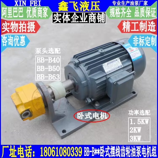 WBZ-BB-B40 B50 B63 Horizontal Cycloidal Gear 2.2KW Oilfield Pumping Unit Motor