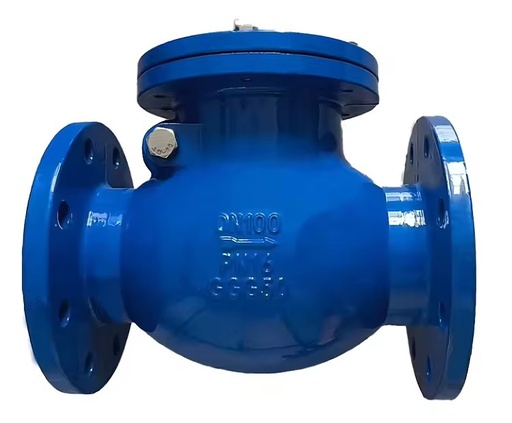 Manufacturer of DN100 PN16 Ductile Iron Flange Check Valve, UL Certified.