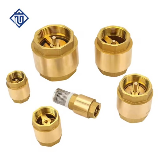 Female Thread Brass Spring Check Valve Vertical One Way Valve for Water Pipe System