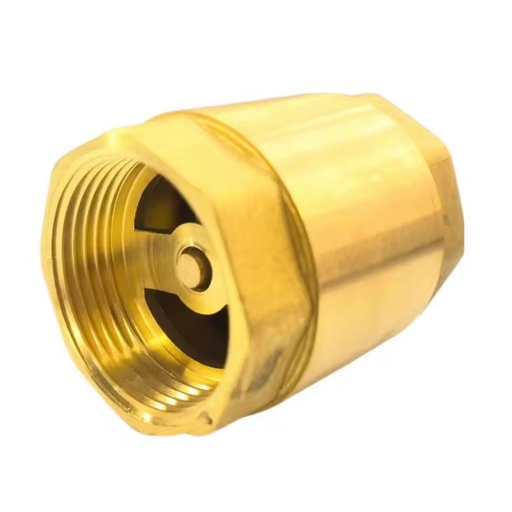 Manual Cast Iron Body Check Valve Steel Sealing Water Media PN16 Threaded Connection 3-Year Warranty Medium Temperature General