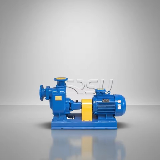 High-Pressure Self-Suction Single-Stage Centrifugal Sewage Pump OEM Ductile Iron Electric