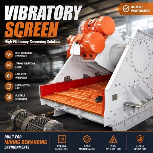 Vibratory Screen Sieve Machine Mining Equipment for Mineral Separator Gold Equipment Processing Plant