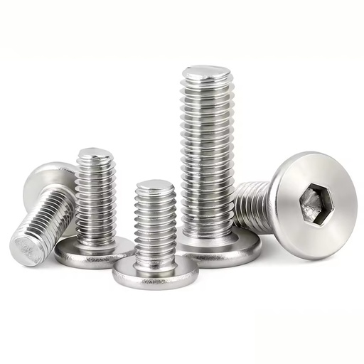 M2 M2.5 M3 M4 M5 M6 M8 Stainless Steel SS Allen Wafer Ultra Low Profile Thin Flat Head Hexagon Socket Machine Screws