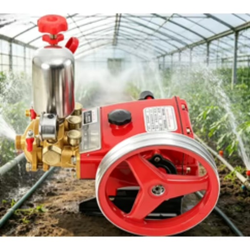 22mm Plunger Pump Farm Garden Pesticide Agricultural Pesticide Portable Small HTP High Pressure Power Sprayer Pump