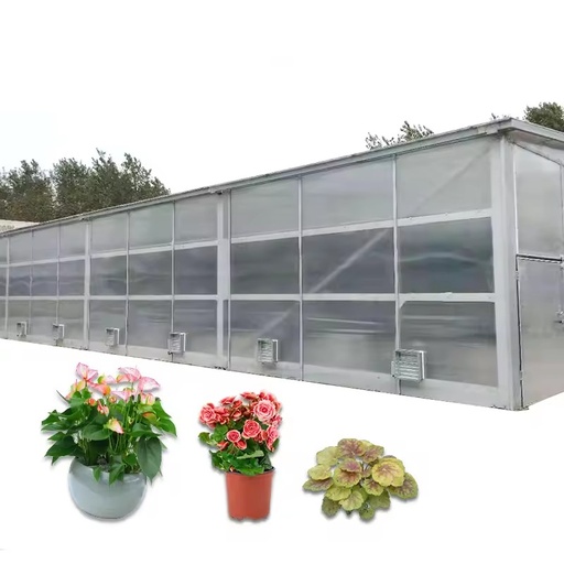 Multi-Purpose High-Utilization Eco-Friendly Energy-Saving Solar Dryer Electric Heating Pump Pre-Drying-Low Price Best Quality