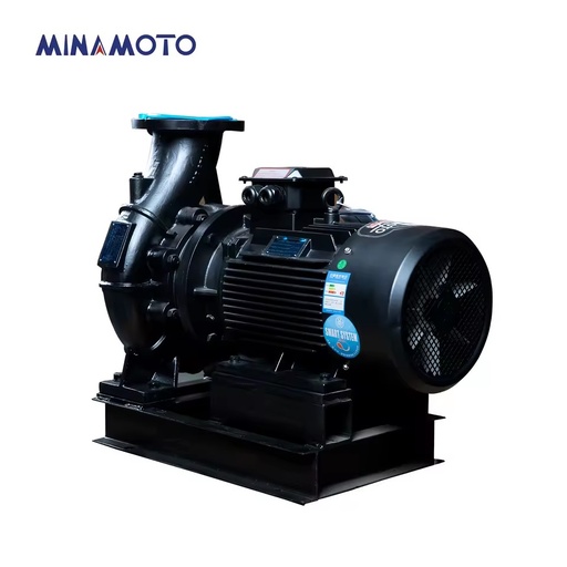 Durable High Flow Centrifugal Electric Motor Water Pump Swimming Pool Circulating Pump 15Hp