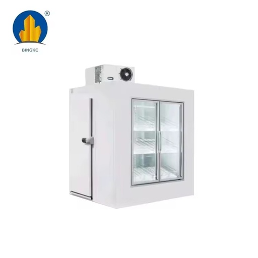 Competitively Priced Solar-Powered Walk-in Freezer Energy-Saving Technology