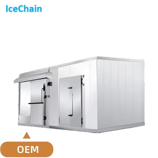 Ice Snow Cold Chain Complete Cold Storage Equipment Solar Power Energy Saving Low Maintenance for Seafood Meat Fruit