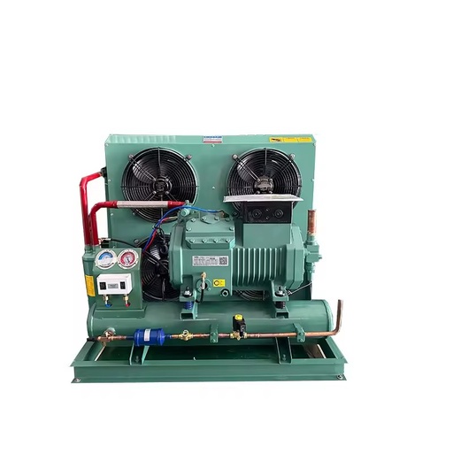 Factory Price 12HP Energy Saving Motor Refrigeration Semi Hermetic Condensing Unit for Walk in Cold Storage Room