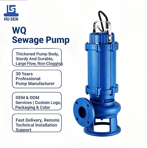 WQ 3KW Cast Iron Mud Bore Hole Wastewater Submersible Sewage Pumps Three-Phase Motor Flange Connection for Water Well Drilling