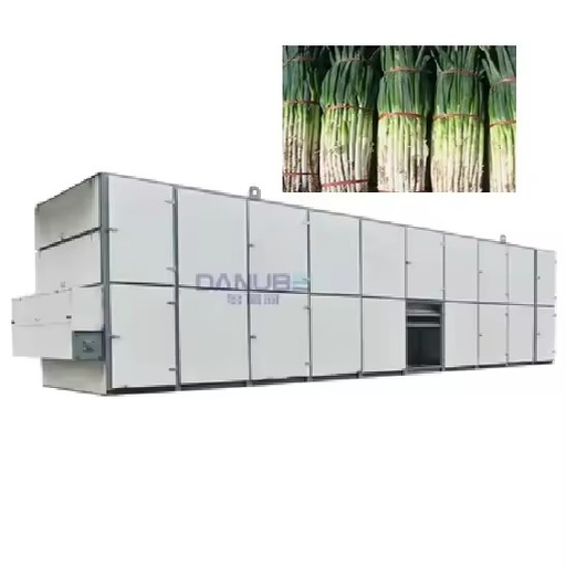 Energy Saving Continuous Vegetable Leave Allium Mesh Belt Dryer Green Onion Drying Production Line